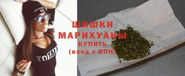 стаф Козельск