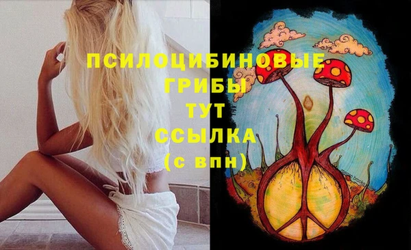 стаф Козельск