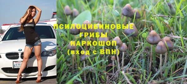 стаф Козельск
