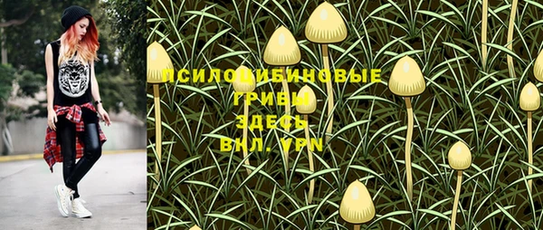 дурь Кодинск