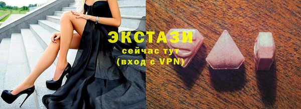 гидра Козловка