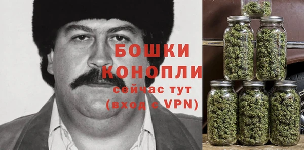 стаф Козельск