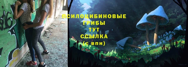 стаф Козельск