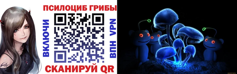 Псилоцибиновые грибы Psilocybine cubensis  Купить  Бобров 